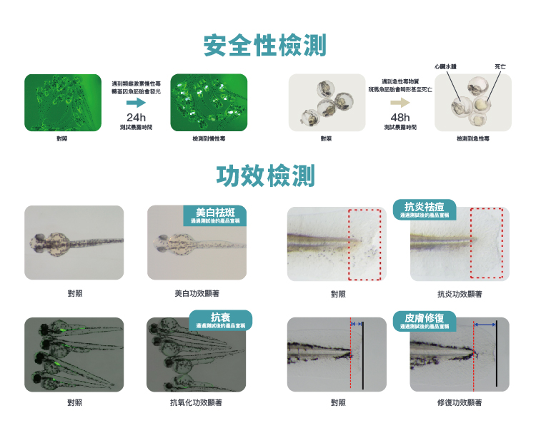 Vitargent International Biotechnology LimitedProductImg1product_photo