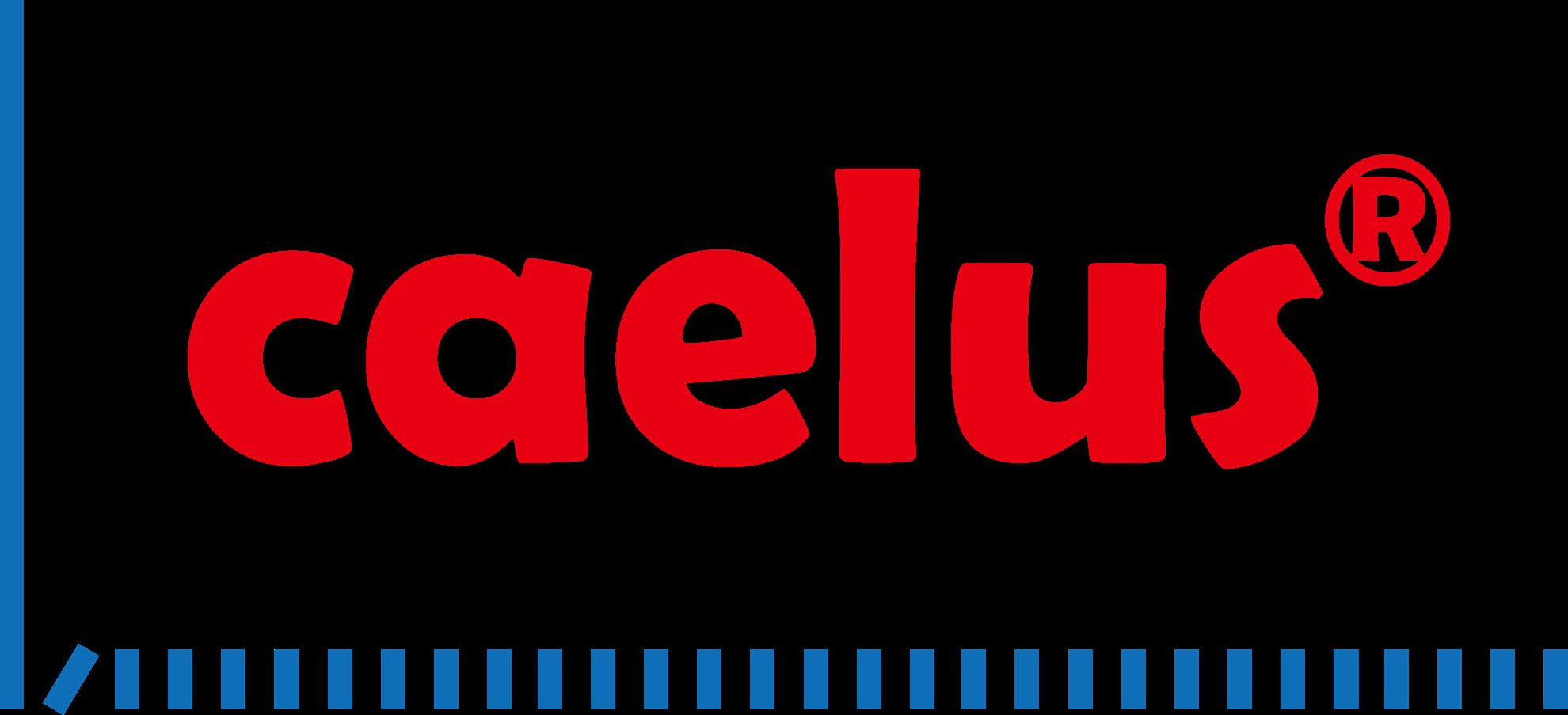 Caelus Technologies LimitedCaelus Technologies Limited