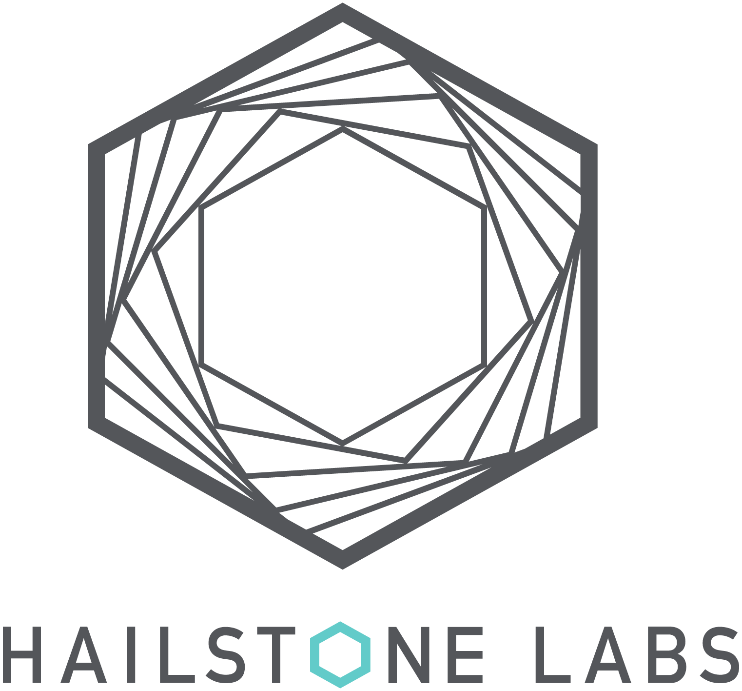 Hailstone Labs Limitedhsl_logo